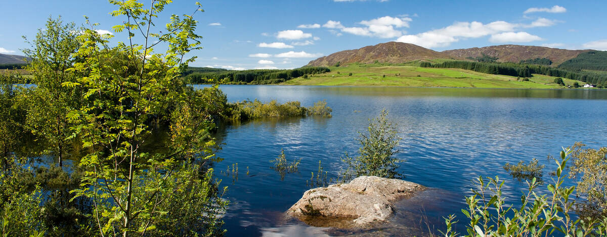 7 Day Scottish Borders, Arran & Galloway Forest Park 