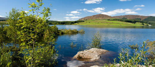 7 Day Scottish Borders, Arran & Galloway Forest Park 