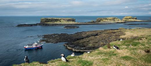 Scotland Tour - 14 Day West Coast Islands, Orkney & Puffin Cruise